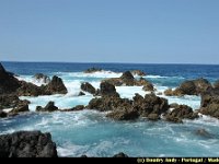 Portugal - Madere - Porto Moniz - 037